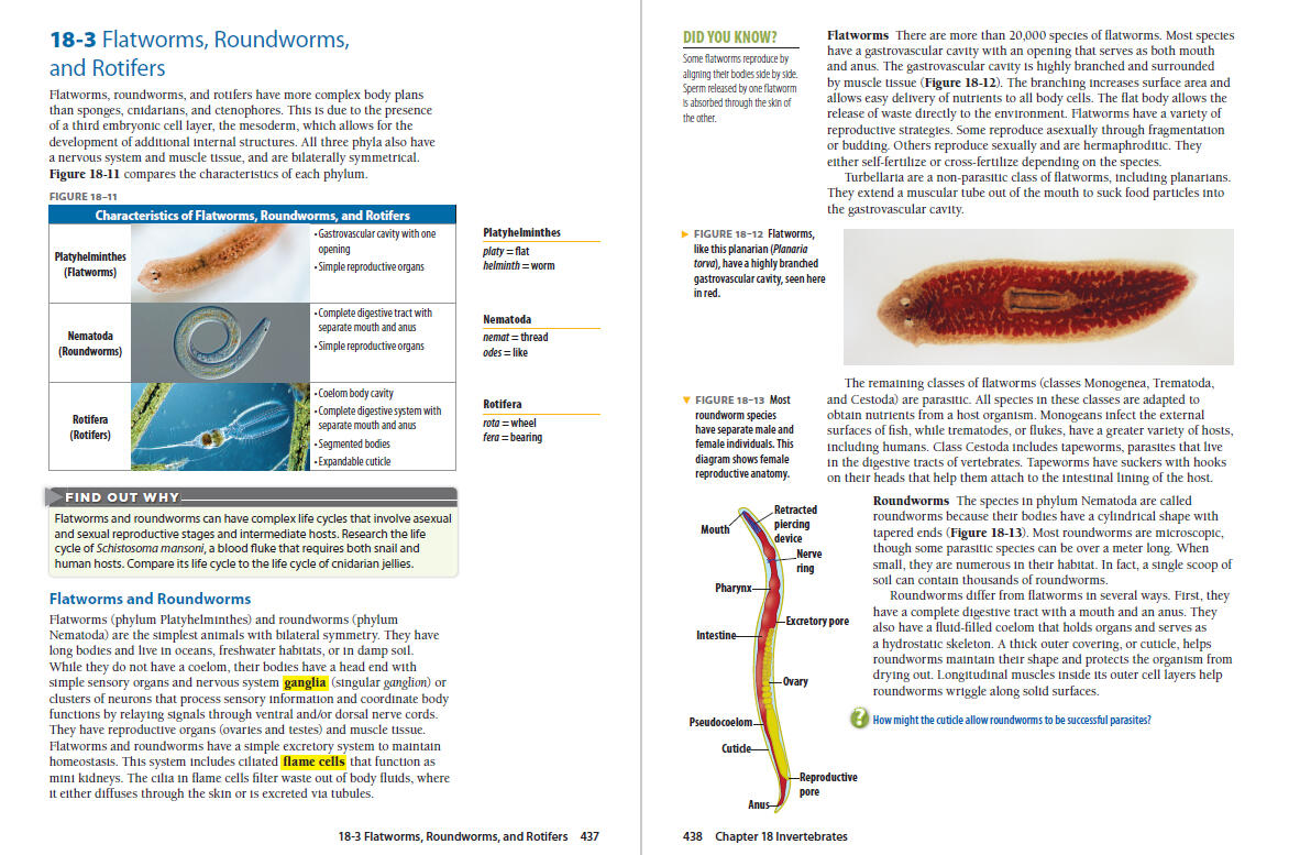 End-of-Module Assessment sample Two questions related to a desalination system in the Namib Desert